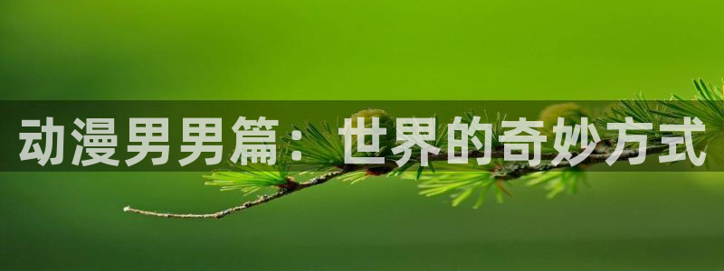 51动漫免费漫画在线观看